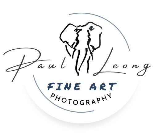 Paul Leong Photography